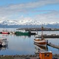Islande excursion